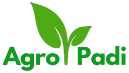 AgroPadi Logo