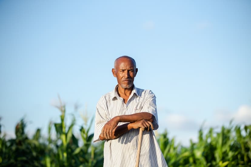 Lease-to-Own Program